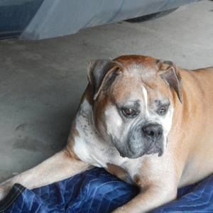 Meet your Posher, Fred